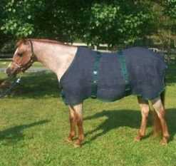 Dennison Anti-Sweat Sheet -Horse Supply Store l dennison anti sweat navy forest 69012.1589216745.1280.1280