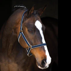 Amigo Padded Nylon Halter From Horseware Ireland, 3 Colors & 3 Sizes -Horse Supply Store l dhrh40 bi00 navy silver 10413.1648416063.1280.1280