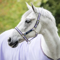 Amigo Padded Nylon Halter From Horseware Ireland, 3 Colors & 3 Sizes