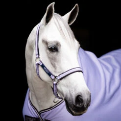 Amigo Padded Nylon Halter From Horseware Ireland, 3 Colors & 3 Sizes -Horse Supply Store l dhrh40 lpi0 3 lavender 18926.1648416063.1280.1280