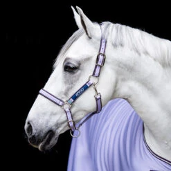 Amigo Padded Nylon Halter From Horseware Ireland, 3 Colors & 3 Sizes -Horse Supply Store l dhrh40 lpi0 4 lavender 70617.1648416063.1280.1280