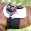 EquiFit BellyBand+, Extra Width, Pony & Cob -Horse Supply Store l equifit belly band plus 69192.1648827758.1280.1280
