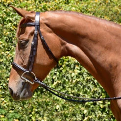 Bobby's Fairhaven Fancy Padded Bridle With Laced Reins, Small Pony, Pony & Cob