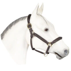 HDR Kushy Padded Halter, Havana, Pony & Cob