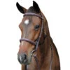 HDR Fancy Raised Comfort Crown Padded Bridle, Pony & Cob -Horse Supply Store l hdr pro australian nut 2483 69406.1611248080.1280.1280