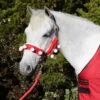 Holiday Horse Wear, Santa Halter Covers 1 Holiday Horse Wear, Santa Halter Covers -Horse Supply Store l holiday santa halter covers 82346.1512079475.1280.1280