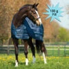 Horseware HORSE Blanket Liner, 100 Gm, 66" - 69" -Horse Supply Store l horse liner 100g ABAD64 BB00 48319.1637423638.1280.1280