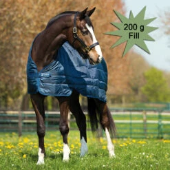 Horseware HORSE Blanket Liner, 200 Gm, 66" - 69"