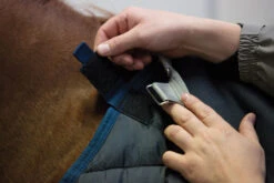 Horseware HORSE Blanket Liner, 200 Gm, 66" - 69" -Horse Supply Store l horseware blanket liner 1 99104.1637867907.1280.1280