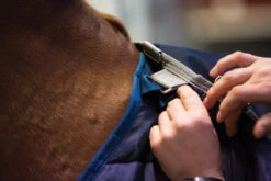 Horseware HORSE Blanket Liner, 100 Gm, 66" - 69" -Horse Supply Store l horseware blanket liner 2 45193.1637423639.1280.1280