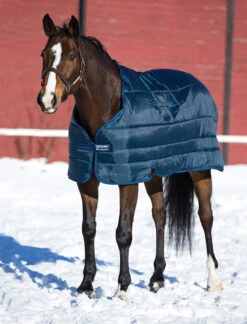 Horseware PONY Blanket Liner, 100 Gm, 45" - 69"