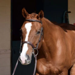 Huntley Equestrian Sedgwick Fancy Stitched Square Raised, Laced Reins, 3 Sizes, 2 Colors -Horse Supply Store l huntley reins australian nut 31865.1551369879.1280.1280