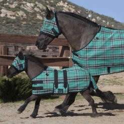 Kensington Mini Protective Fly Sheet, Black Ice Plaid
