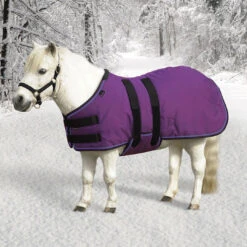 Kensington Signature Miniature Horse Medium Turnout, Purple, 42" - 54"