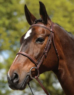Kincade Fancy Stitched Raised Bridle, Pony & Cob