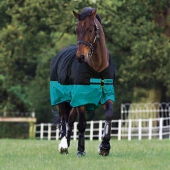 Horseware Mio Medium Turnout Blanket, Black/Turquoise, 45" - 69"
