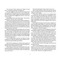 The True Story Of Miracle Man, A Chincoteague Pony -Horse Supply Store l miracle man 1 53086.1668741100.1280.1280