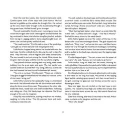 The True Story Of Miracle Man, A Chincoteague Pony -Horse Supply Store l miracle man 3 59634.1668741100.1280.1280