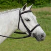 Nunn Finer Giulia Wide Noseband, Padded Bridle, Havana, Pony & Cob -Horse Supply Store l nunn finer giullia 42980.1521327654.1280.1280
