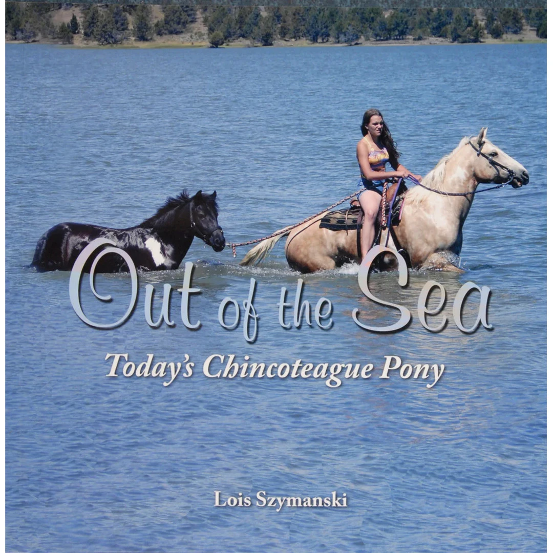 Out Of The Sea, Today's Chincoteague Pony 3 Out Of The Sea, Today's Chincoteague Pony