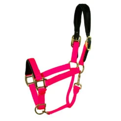 Padded Nylon Breakaway Halter Pony & Cob Sizes -Horse Supply Store l padded nylon breakaway halter hot pink 10336.1592855989.1280.1280