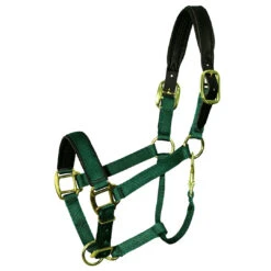 Padded Nylon Breakaway Halter Pony & Cob Sizes -Horse Supply Store l padded nylon breakaway halter hunter 06545.1592855989.1280.1280