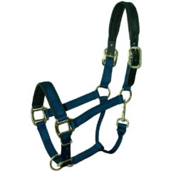 Padded Nylon Breakaway Halter Pony & Cob Sizes -Horse Supply Store l padded nylon breakaway halter navy 83517.1592855989.1280.1280
