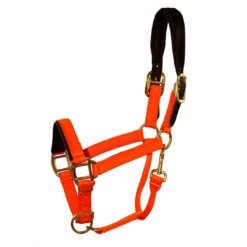 Padded Nylon Breakaway Halter Pony & Cob Sizes -Horse Supply Store l padded nylon breakaway halter neon orange 95422.1592855990.1280.1280