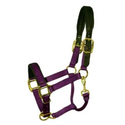 Padded Nylon Breakaway Halter Pony & Cob Sizes -Horse Supply Store l padded nylon breakaway halter purple 73653.1592855990.1280.1280