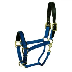 Padded Nylon Breakaway Halter Pony & Cob Sizes -Horse Supply Store l padded nylon breakaway halter royal blue 24719.1592855990.1280.1280