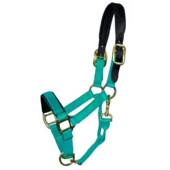 Padded Nylon Breakaway Halter Pony & Cob Sizes -Horse Supply Store l padded nylon breakaway halter teal 22233.1592845931.1280.1280