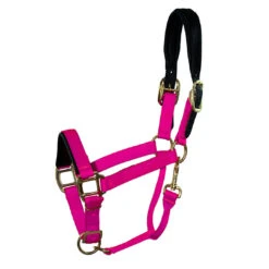 Padded Nylon Breakaway Halter Pony & Cob Sizes -Horse Supply Store l padded nylon breakaway halter watermelon 98795.1592855990.1280.1280