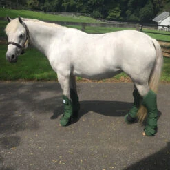 PRI Heavy Duty Pony Shipping Boots, Set Of 4 -Horse Supply Store l pri shipping boots dark green slipper 49683.1632175997.1280.1280