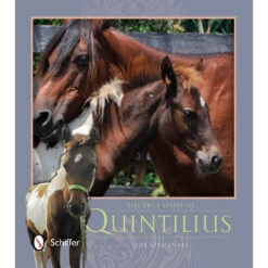The True Story Of Quintilius, A Chincoteague Pony