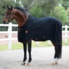Rambo Ionic Pony Stable Sheet, 45" - 69", Stimulates, Strengthens, Supports -Horse Supply Store l rambo ionic stable sheet black orange 91999.1551651460.1280.1280