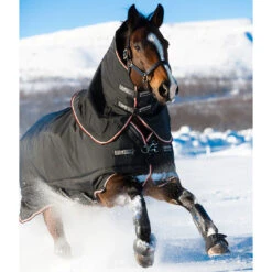 Rambo Supreme Heavy Turnout, 420 Gm, With Bag For Life, 60" - 69" -Horse Supply Store l rambo supreme heavy AAASA3 K0RK 2 28057.1637626466.1280.1280