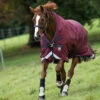 Rambo Wug Medium Turnout With Bag For Life, Burgundy, 66'' - 69'' -Horse Supply Store l rambo wug AAAWA2 QQGB 55809.1632941123.1280.1280