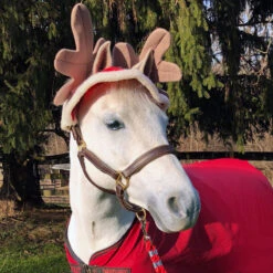 Holiday Horse Wear, Reindeer Two-Ear Hat