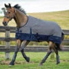 Saxon Two-Tone Turnout Sheet, 48'' - 69'' -Horse Supply Store l saxon 600 grey navy 02045.1536184263.1280.1280