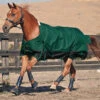 Saxon 1200D Lite Turnout Sheet, Sizes 60" - 69" -Horse Supply Store l saxon hunter black two tone 801790 39187.1536219626.1280.1280