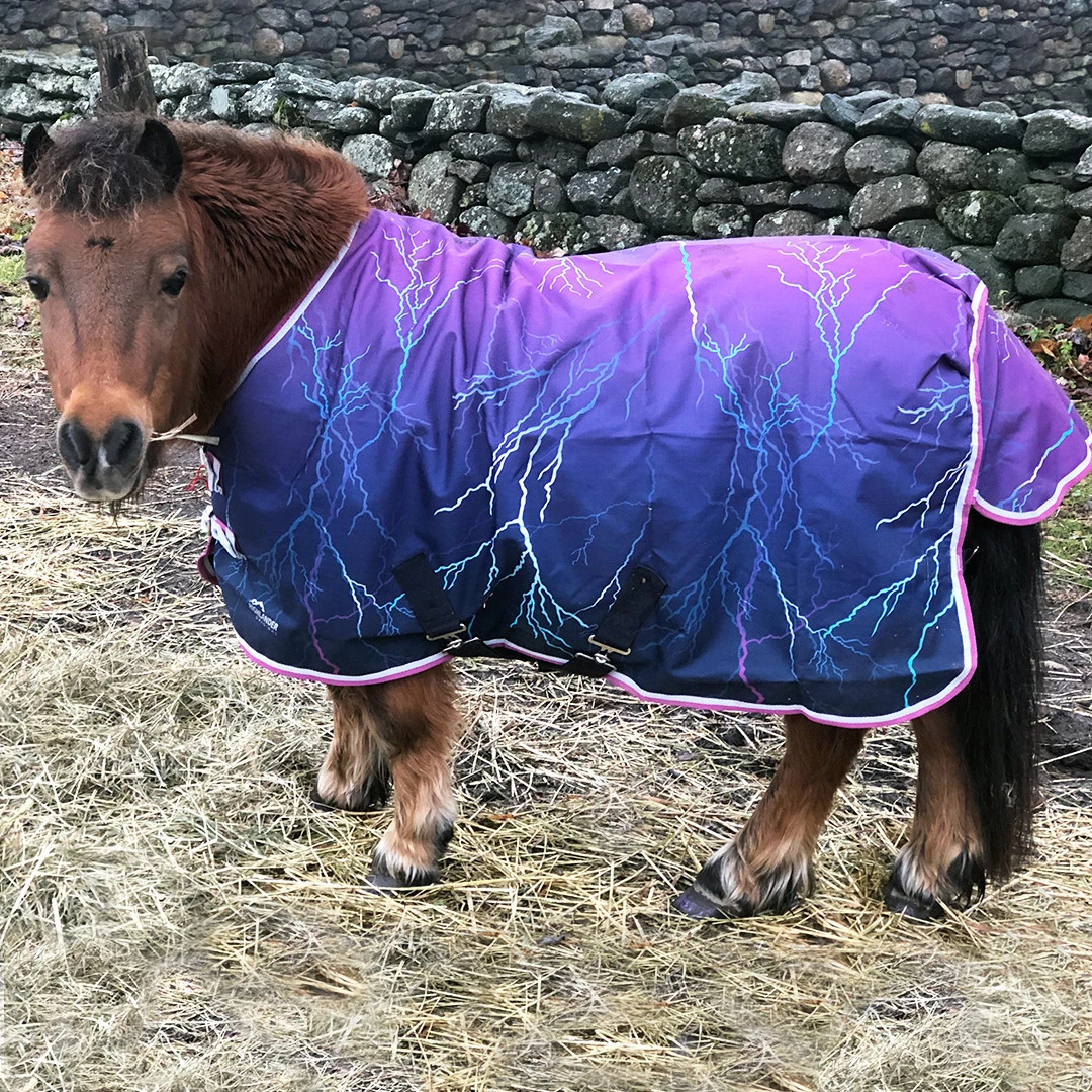 Shires Miniature Highlander Rain Sheet, Purple Lightning, 33" - 48" 3 Shires Miniature Highlander Rain Sheet, Purple Lightning, 33" - 48"