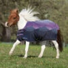 Shires Miniature Highlander Rain Sheet, Spring Morning, 33" - 48" -Horse Supply Store l shires mini highlander spring morning sheet 42279.1664689313.1280.1280