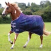 Shires Tempest Original Turnout Rain Sheet, Purple Lightning, 48" - 69" 2 Shires Tempest Original Turnout Rain Sheet, Purple Lightning, 48" - 69" -Horse Supply Store l shires sheet purple lightning 18375.1631749663.1280.1280