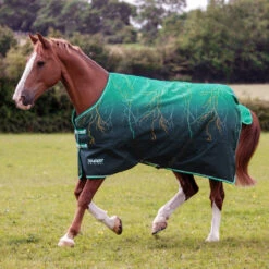 Shires Tempest Original Medium Blanket, Teal Lightning, 48" - 69"