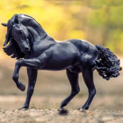 Breyer Sjoerd, Champion Friesian Stallion