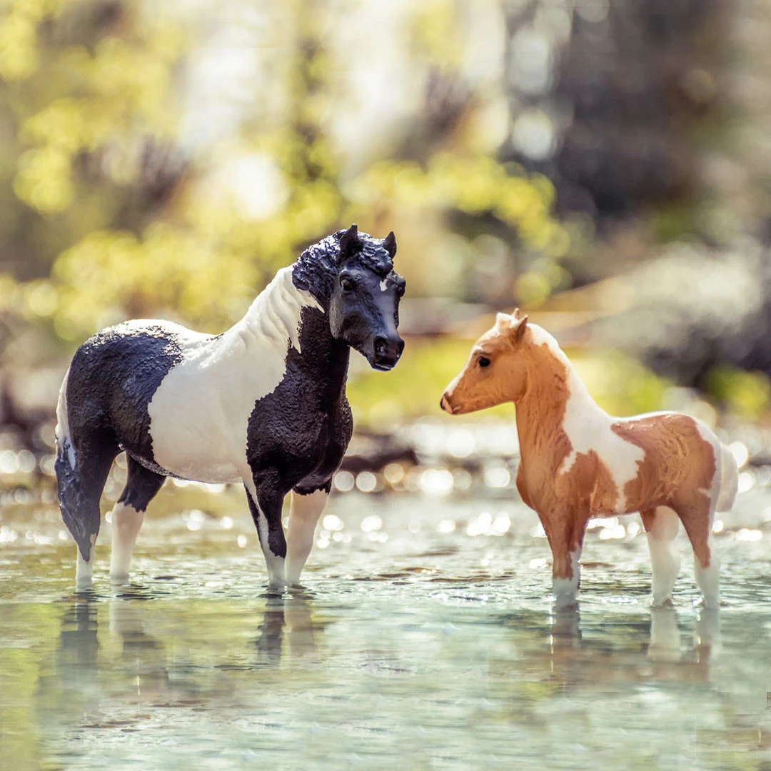 Breyer The Phantom And Misty Of Chincoteage, Mare & Foal Gift Set 6 Breyer The Phantom And Misty Of Chincoteage, Mare & Foal Gift Set - Image 4
