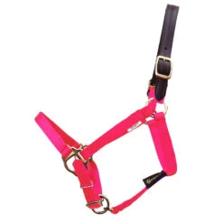 Triple E 5/8" Miniature Horse Breakaway Halter, Three Sizes -Horse Supply Store l triple e mini breakaway halter hot pink 35417.1582748763.1280.1280