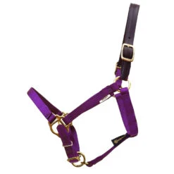 Triple E 5/8" Miniature Horse Breakaway Halter, Three Sizes -Horse Supply Store l triple e mini breakaway halter purple 30032.1582748763.1280.1280