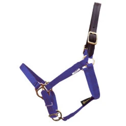 Triple E 5/8" Miniature Horse Breakaway Halter, Three Sizes -Horse Supply Store l triple e mini breakaway halter royal 11582.1643141090.1280.1280