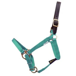 Triple E 5/8" Miniature Horse Breakaway Halter, Three Sizes -Horse Supply Store l triple e mini breakaway halter turquoise 47873.1582748763.1280.1280